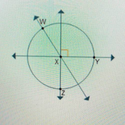 Which line segment is drawn in the figure? 
YZ, WY, XZ, WZ