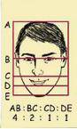 To draw a face, you can sketch the head as an oval and then lightly draw horizontal lines to help l