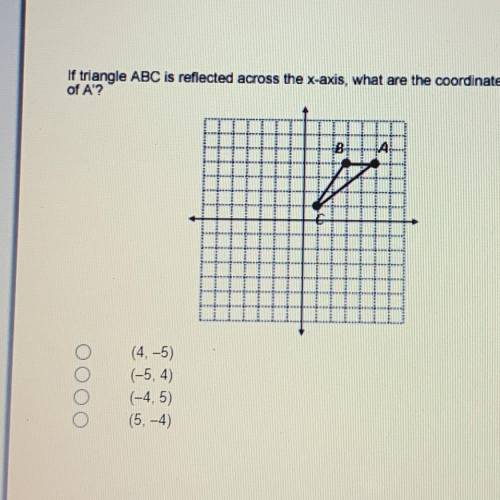 Can someone help me with this please and don’t guess I really need help