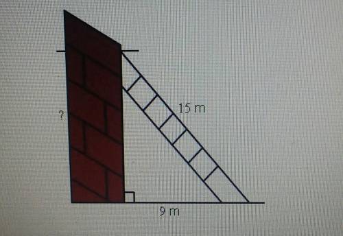 A ladder is leaning against a wall. The length of the ladder is 15 meters and

the base of the lad
