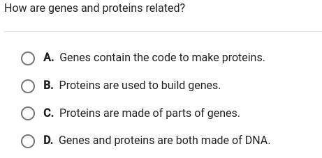 How are genes and proteins related?