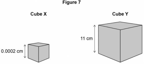 Figure 7 shows two cubes. Cube X represents a bacterial cell. Cube Y represents a small multicellul