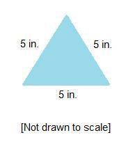 (QUICKLY!) The triangle represents a scale drawing that was created by using a factor of 1/2.

A t
