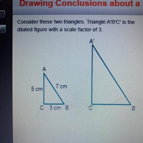 PLEASE HELP I NEED TO PASS THIS CLASSS

Consider these two triangles. Triangle A'B'C' is