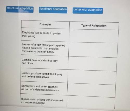 Match the type of adaptation to the correct example.