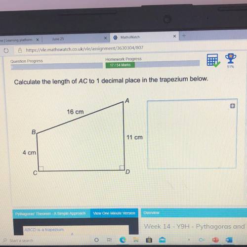 Please help! phythagoras and trigonometry