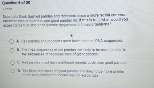 start this thing that red pandas and raccoons are more a recent common ancestor that red pandas and
