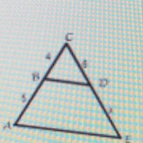 Find the length of x in the triangle below AB=5, BC=4, CD=6, DE=x