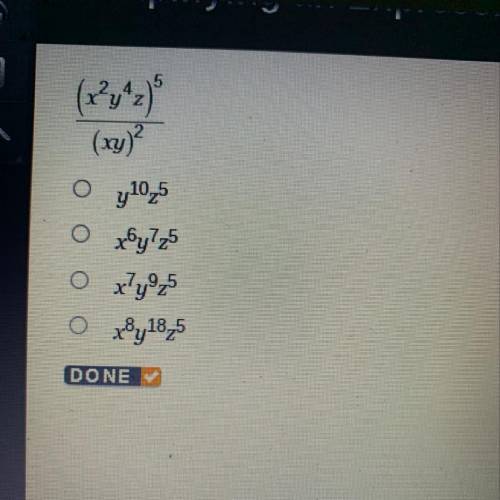 What’s the answer need help