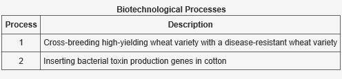 The following table describes some biotechnological processes Which biotechnological processes are