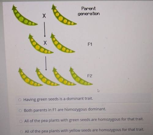 (please help me)

Select the correct answer.Mendel performed studies on the seed color of pea plan
