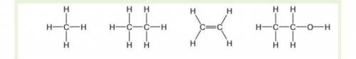The structures of four organic compounds are shown below. Which statement is not correct?

A. Only