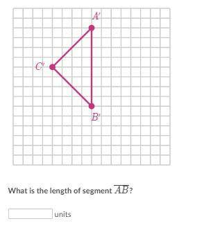 PLEASE HELP Triangle △A'B'C' is the image of △ABC under a dilation with a scale factor of 2. (