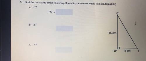 5. Find the measures of the following. Round to the nearest whole number