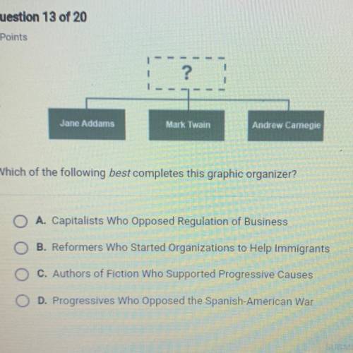 Which of the following best completes this graphic organizer?

A. Capitalists Who Opposed Regulati