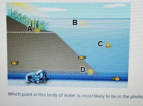 A body of fresh water is shown below.

Which point in this body of water is most likely to be in t