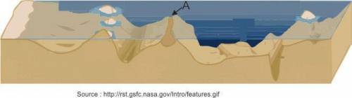 The diagram below shows some ocean floor features. (4 points) Which of these statements is correct
