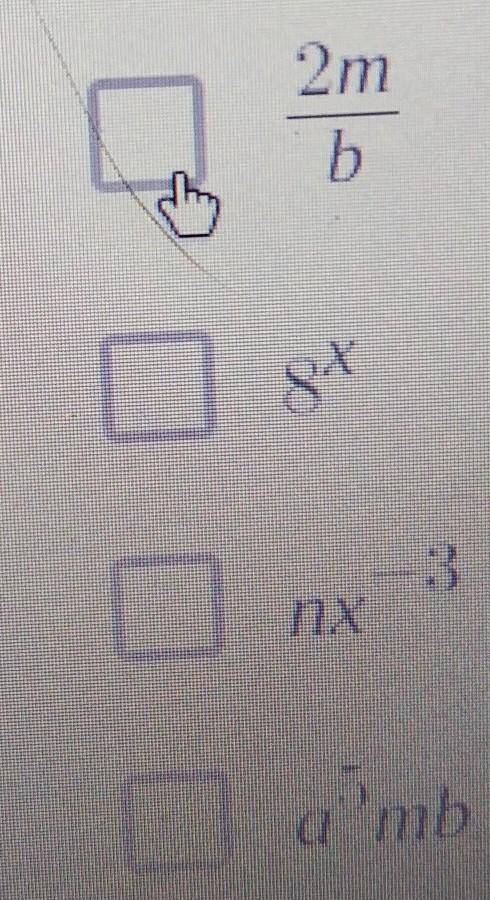 Which of the expressions are monomials?