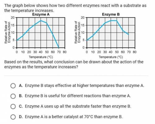 The graph below shows how two different enzymes react with a substance as the temperature increases