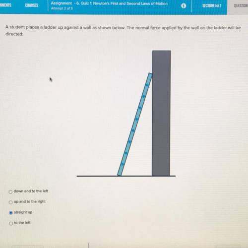 A student places a ladder up against a wall as shown below. The normal force applied by the wall on