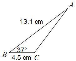 Find the area of the triangle. A. 17.7 B. 6.1 C. 8.1 D. 21.4
