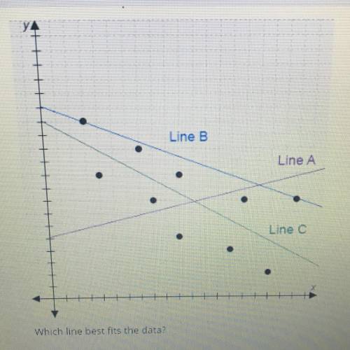 Which line best fits the data?

A. Line a
B. Line b
C. Line c
D. None of the lines fit the data we