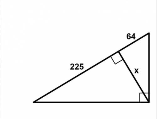 Find the missing length indicated. x=
