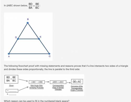 In ΔABC shown below, BD over BA equals BE over BC: Triangle ABC with segment DE intersecting sides