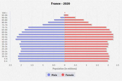Think critically about the information in your profile and population pyramid. What does this infor