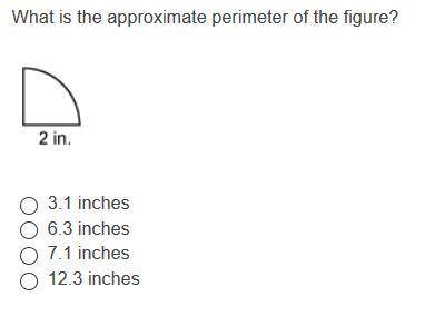 What is the approximate perimeter of the figure?