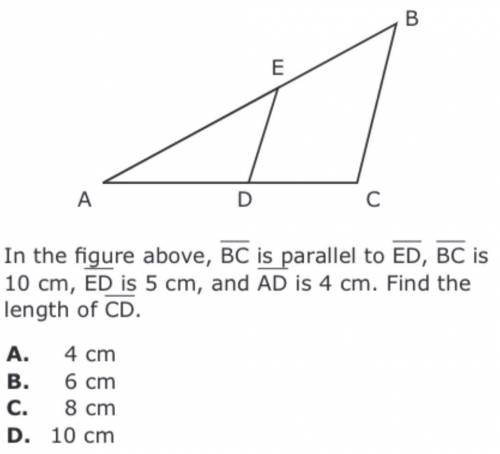 Pls help With this question thank you