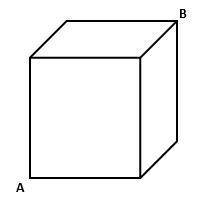 NEED ANWSER ASAP! WILL GIVE BRAINLIEST! An ant needs to travel along a 20cm × 20cm cube to get from