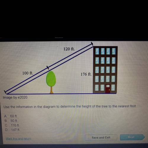 Determine the height of the tree to the nearest foot