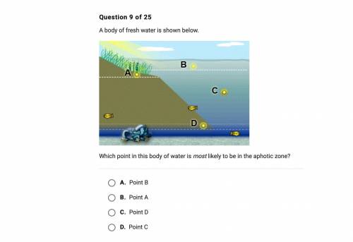Which point in this body of water is most likely to be in the aphotic zone ?