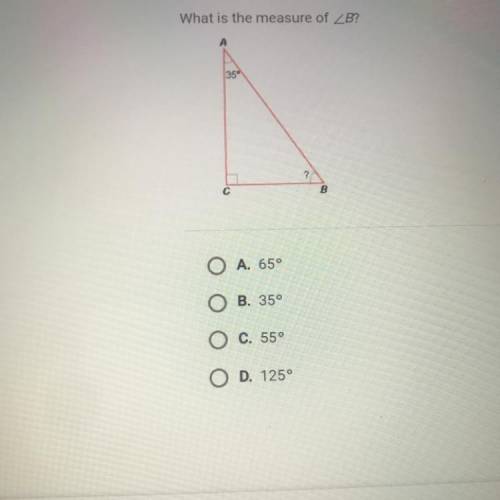 What is the measure of B?