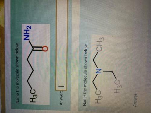 HELP PLEASE NAME THESE COMPOUNDS topic of amines and amides please explain you steps so i can do th