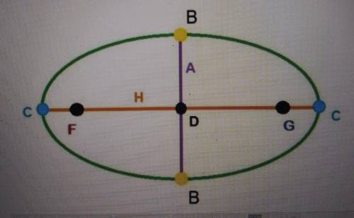 Identify(describe) each part of the ellipse as labeled by a letter