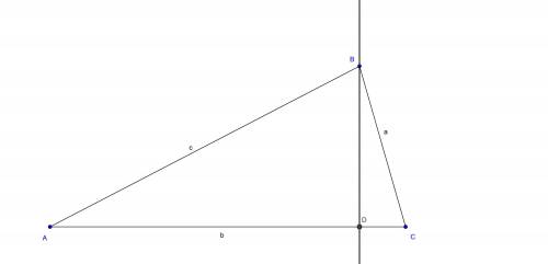 In terms of the trigonometric ratios for ΔABD, what is the length of line segment BD?