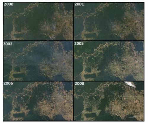 The maps below represent the same area of the Amazon rainforest over an 8-year period as humans mov