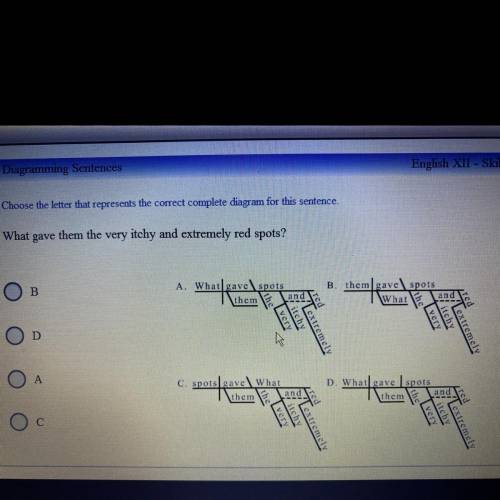 Choose the letter that represents the correct complete diagram for this sentence.