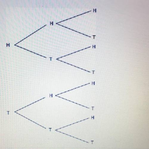 Identify the sample space in the following tree diagram

A.) H, T
B.) TTT, TTH, THT, THH, HTT, HTH