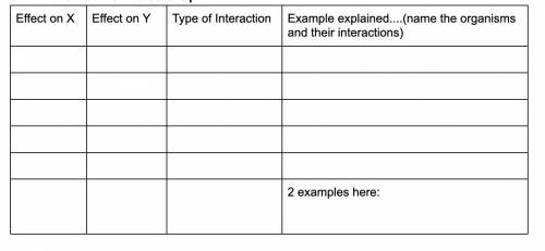 Fill in the matrix of Interactions: