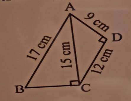The area of quadrilateral ABCD in the below figure is

(a) 57 cm(b) 95 cm2 (c) 102 cm2(d) 114 cm
