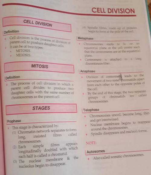 1. Anyone please describe me about The types of cell divisons along with their stages. ( Mitosis and