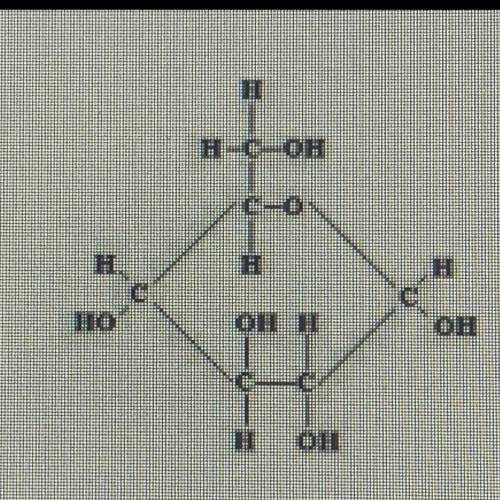 How do you identify an organic compound? and what's this molecule?