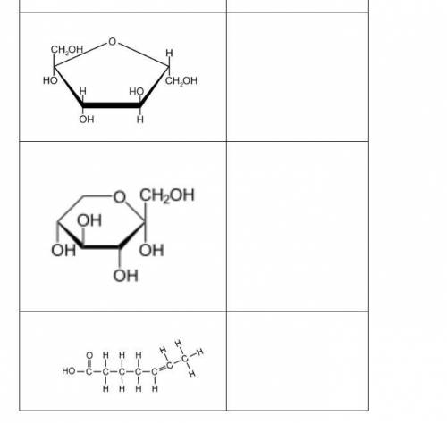 PICTURE 1: identify monomers and describe the function for all macromolecules PICTURE 2: identify m