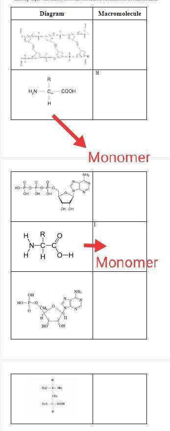 PICTURE 1: identify monomers and describe the function for all macromolecules PICTURE 2: identify mo