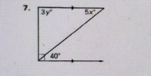 Find the values of x and y. could you please help me with this?