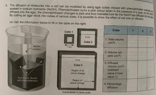 The diffusion of molecules into a cell can be modelled by using agar cubes infused with phenolphtha