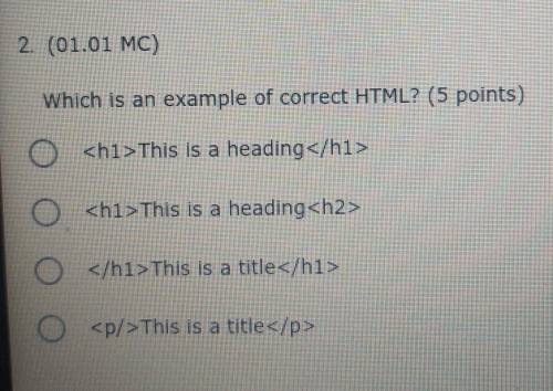 Which is an example of correct HTML?

<h1>This is a heading </h1></h1>This is a